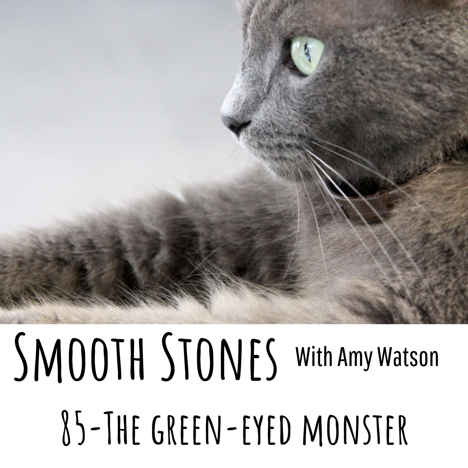 You are currently viewing Episode 85 – The Green-Eyed Monster