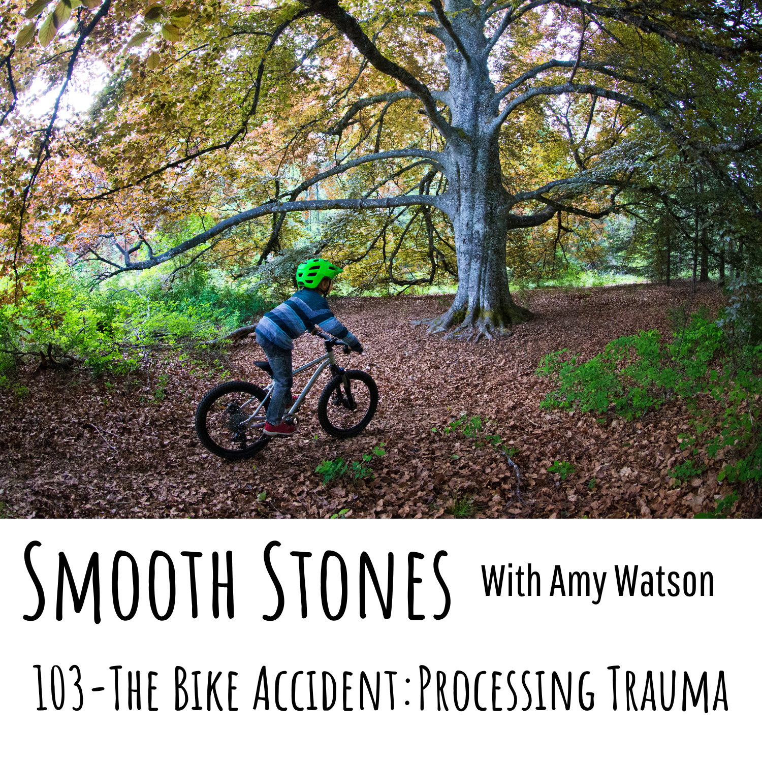 You are currently viewing Episode 103 – The Bike Accident: Processing Trauma