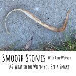 Read more about the article Episode 147 – What to do When you See a Snake