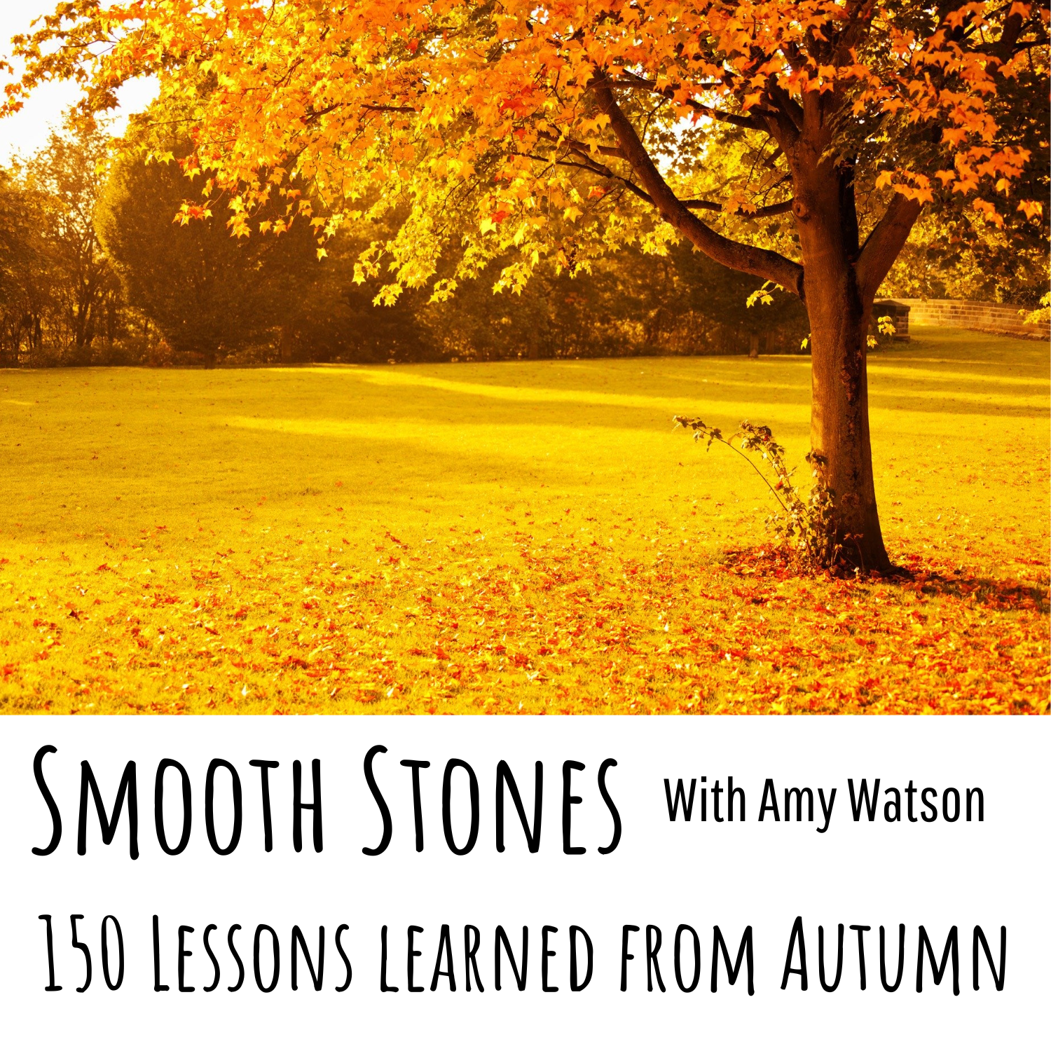 You are currently viewing Episode 150 – Lessons Learned from Autumn