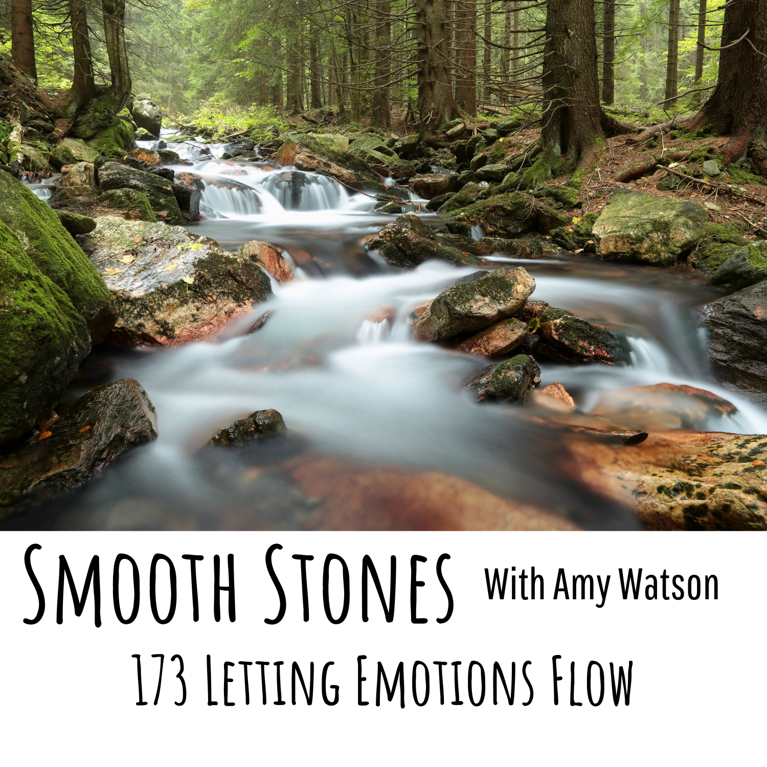 You are currently viewing Episode 173 – Letting Emotions Flow