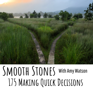 Read more about the article Episode 175 – Making Quick Decisions
