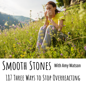 Read more about the article Episode 187 – Three Ways to Stop Overreacting